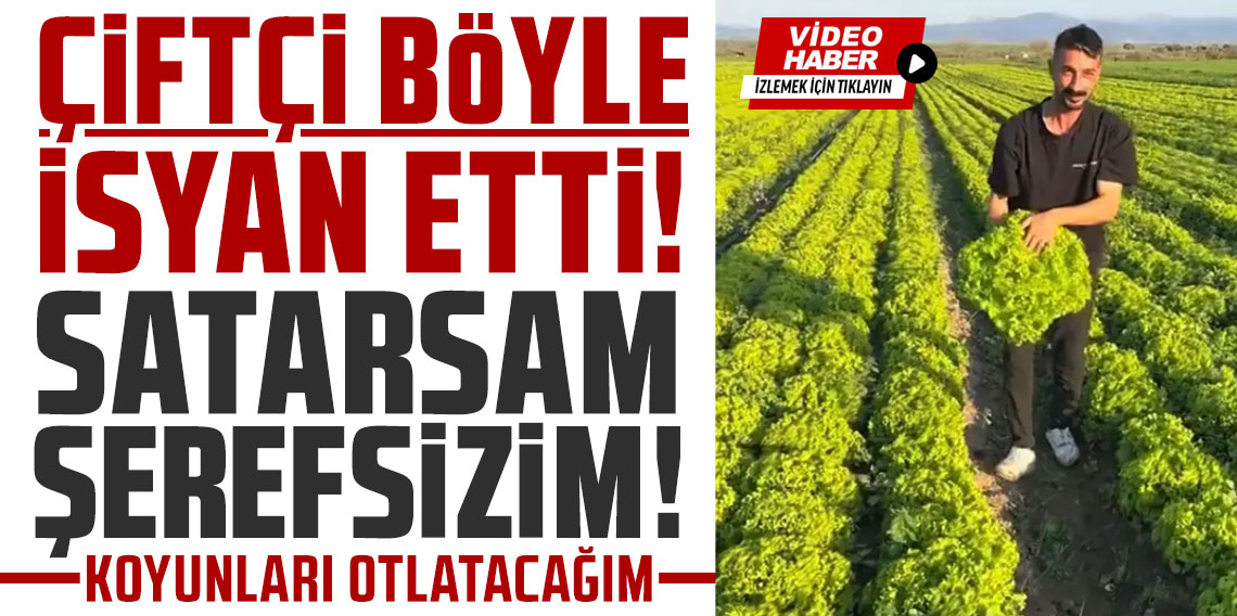 Çiftçi böyle isyan etti: Satarsam şerefsizim, koyunları otlatacağım