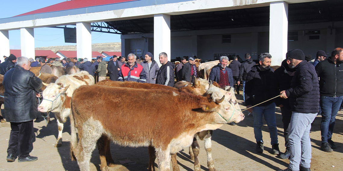 Bayburt’taki hayvan pazarlarında şap karantinası