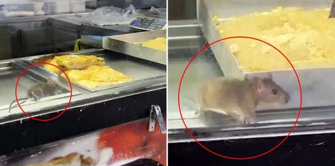 İzmir’den iğrenç görüntü: Börek tezgahlarında fare cirit attı