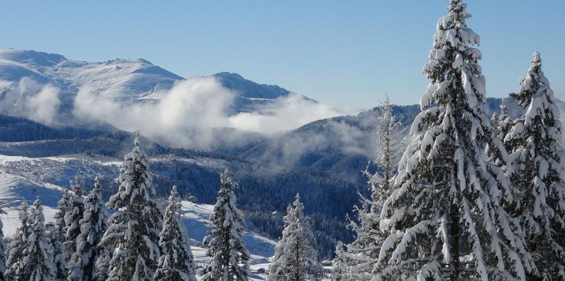 Ordu'da kartpostallık kar manzaraları