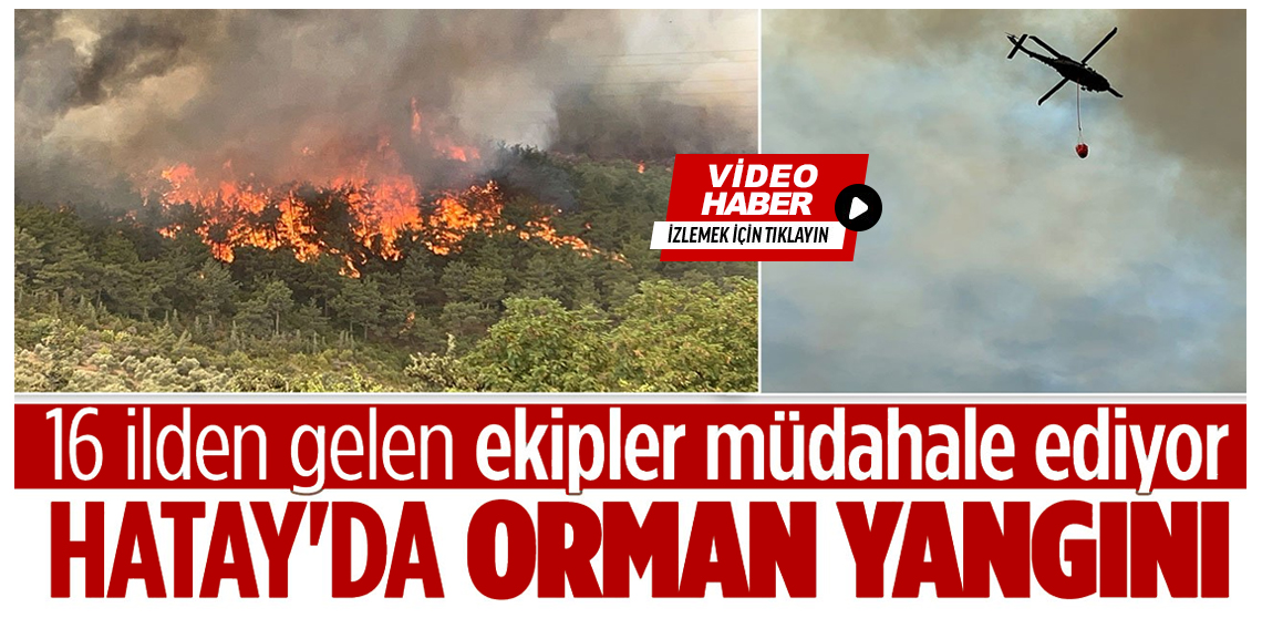 Hatay’da yangına 16 ilden gelen ekipler müdahale ediyor