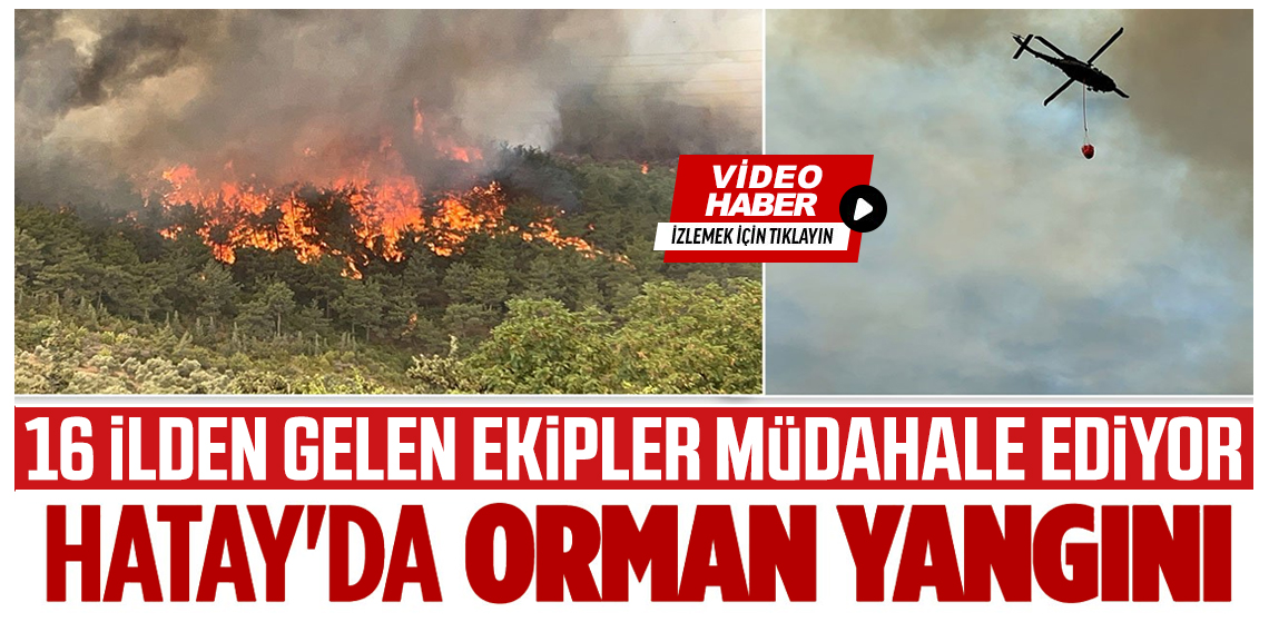 Hatay’da yangına 16 ilden gelen ekipler müdahale ediyor