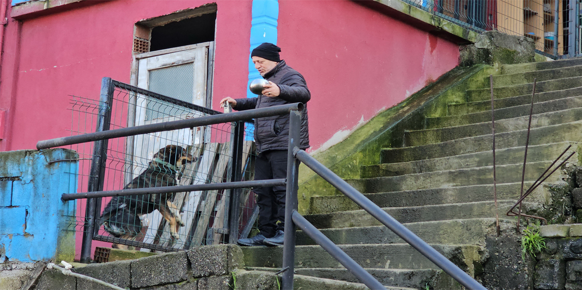 Köpeğin vefası herkesi duygulandırdı