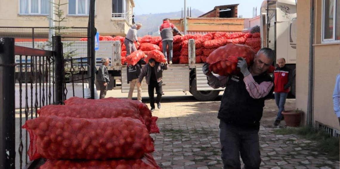 Ordu’da Üreticiye Büyük Destek: 45 Ton Tohumluk Patates Dağıtıldı