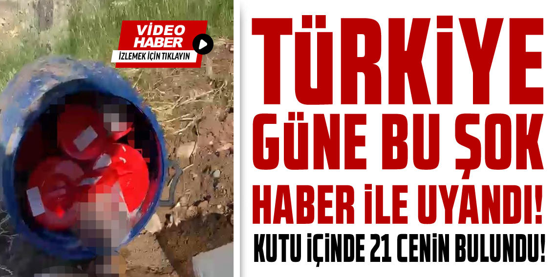 Plastik kutularda 21 cenin bulundu