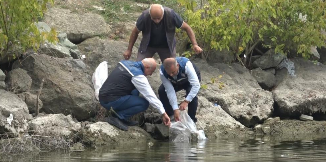 Samsun'un iç suları 1 milyon 125 bin sazan yavrusu ile balıklandırıldı