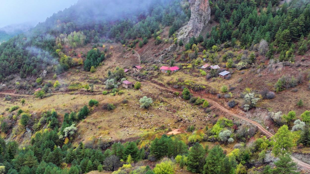 Zigana Dağı güz renklerine büründü!