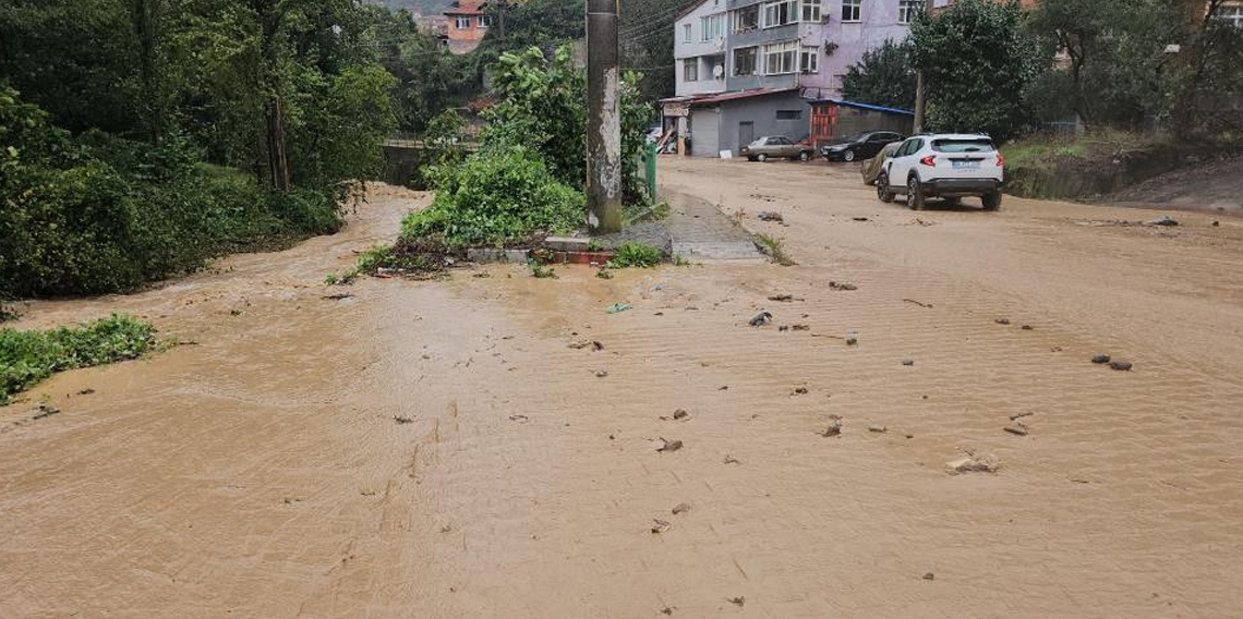 Zonguldak'ta şiddetli yağış etkili oldu
