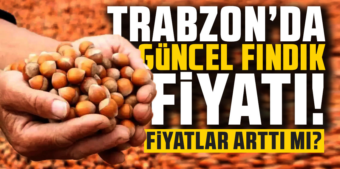 Fındık fiyatı arttı mı? Trabzon, Ordu, Giresun, Sakarya, Kocaeli güncel fındık fiyatları