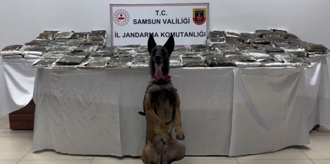 Samsun’da tıra gizlenmiş 132 kilo toz esrar ele geçirildi