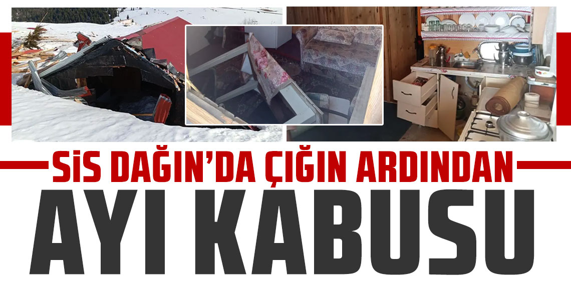 Sis Dağı’nda çığın ardından ayı kabusu!