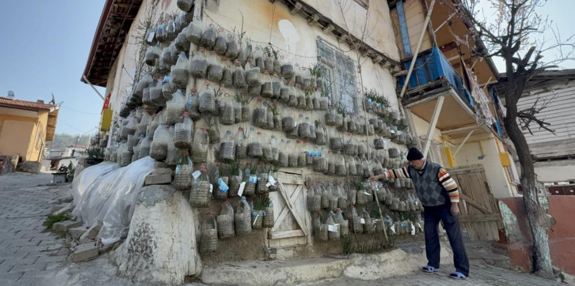 Bahçesi Yok Ama Çözümü Var, Duvarda Soğan Yetiştiriyor