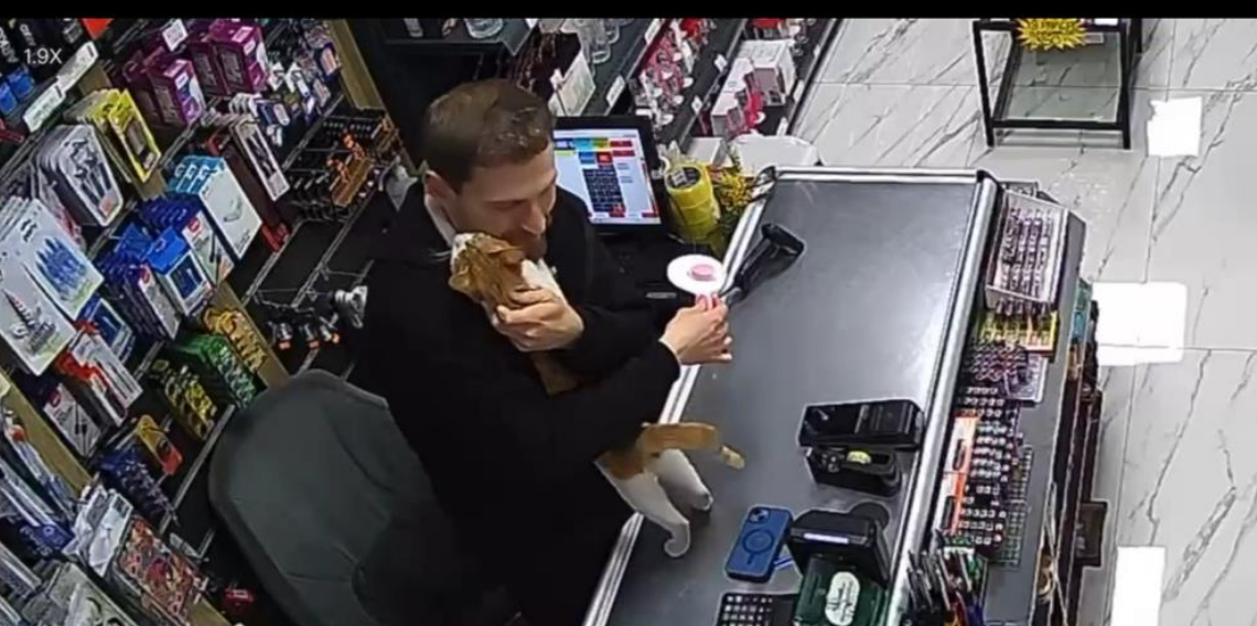 Rize’de kedi ile esnafın dostluğu
