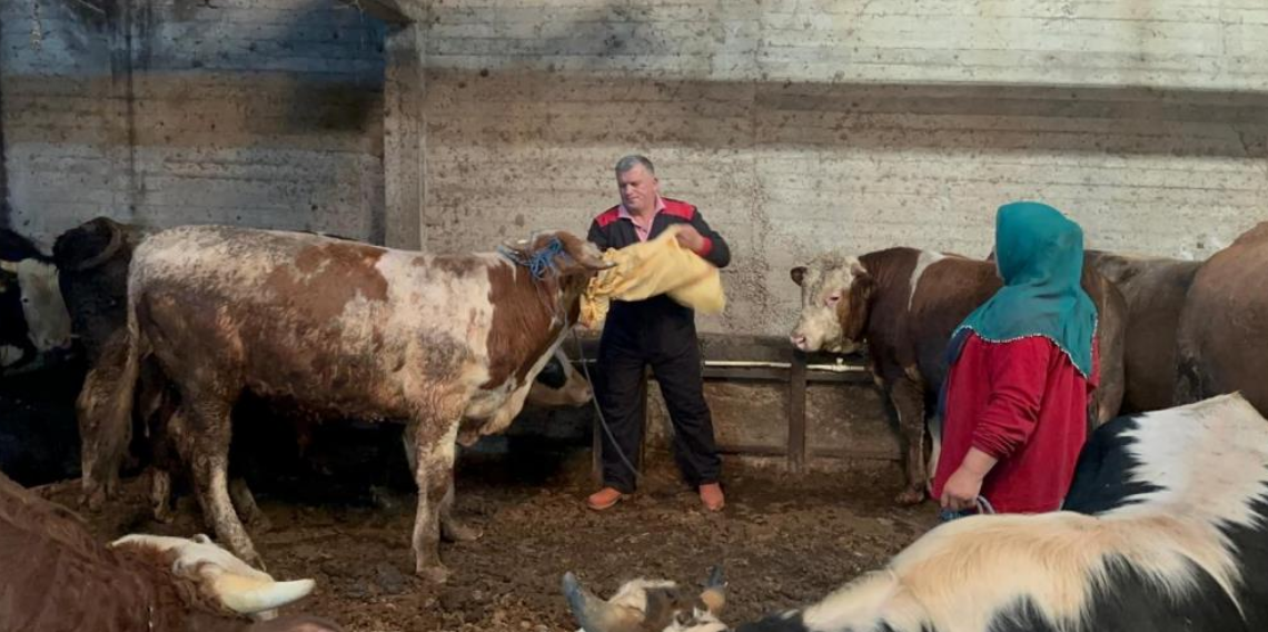 Ordu’da kurbanlık hayvan pazarlarında hareketlilik başladı