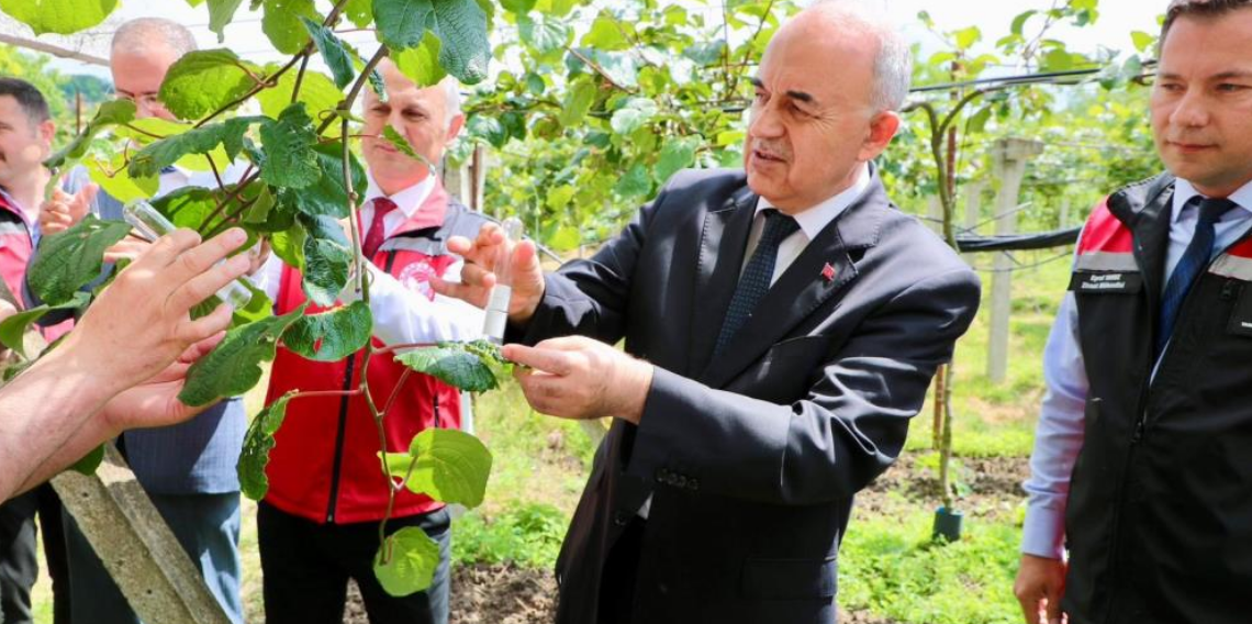 Kahverengi kokarcanın sonunu samuray arıları getirerek