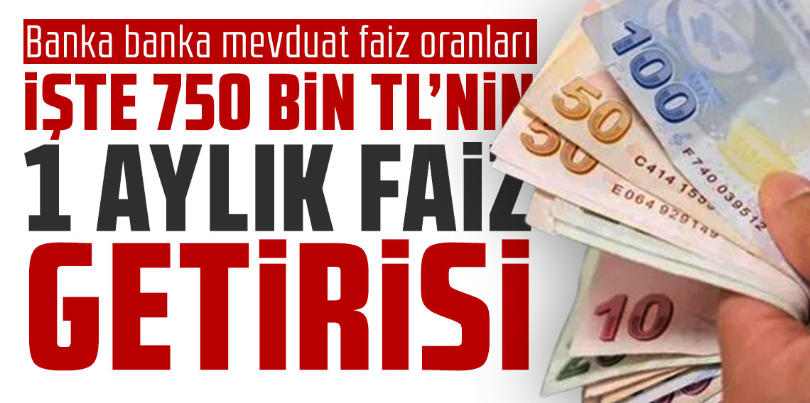 İşte 750 bin TL'nin 1 aylık faiz getirisi; Banka banka mevduat faiz oranları
