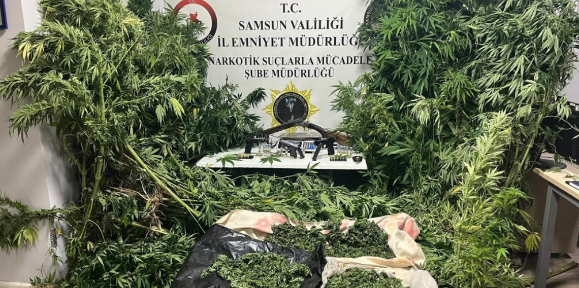 Polis havadan iz sürdü: Tütünlerin arasında 502 kök kenevir ele geçti