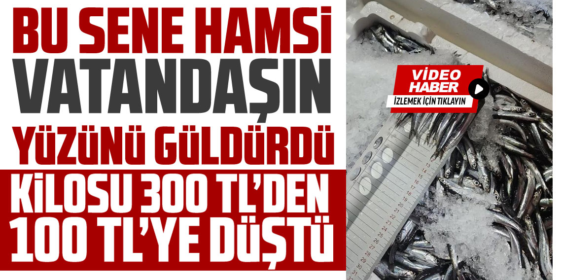 Hamsini kilosu 300 TL’den 100 TL’ye düştü: Kapış kapış gitti