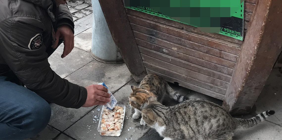 Bayburtlu taksici siftahı kedileri besleyerek yapıyor