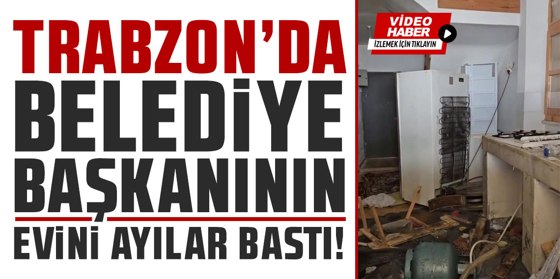Ayılar bu kez belediye başkanının evine girdi