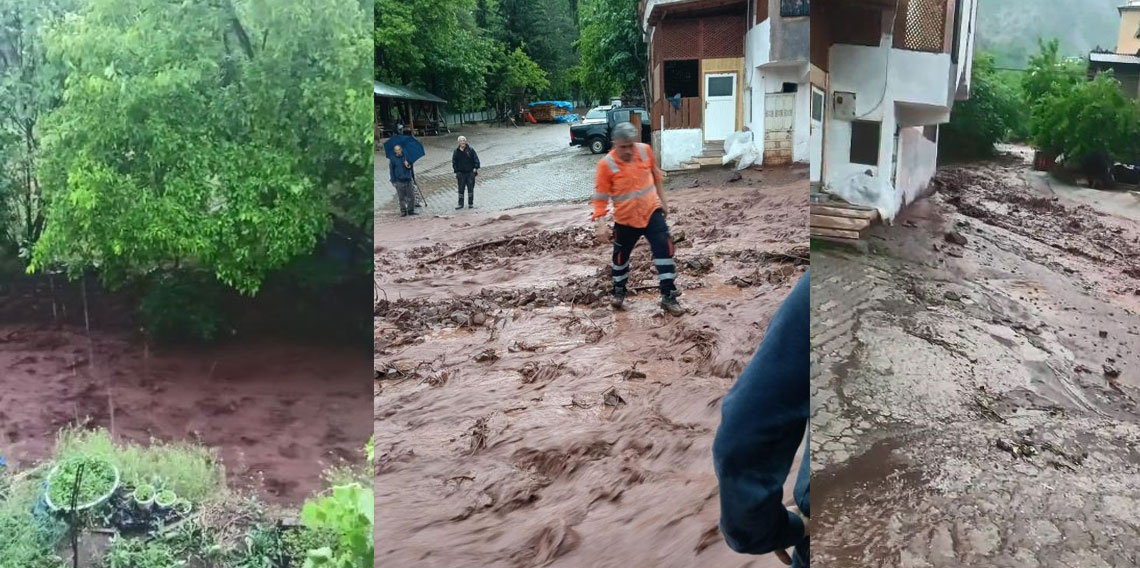 Artvin'de sağanak sonrası dereler taştı!