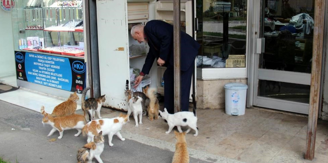 Sokak kedilerinin dedesi yıllardır kimsesiz kedilere sıcak yuva oluyor!