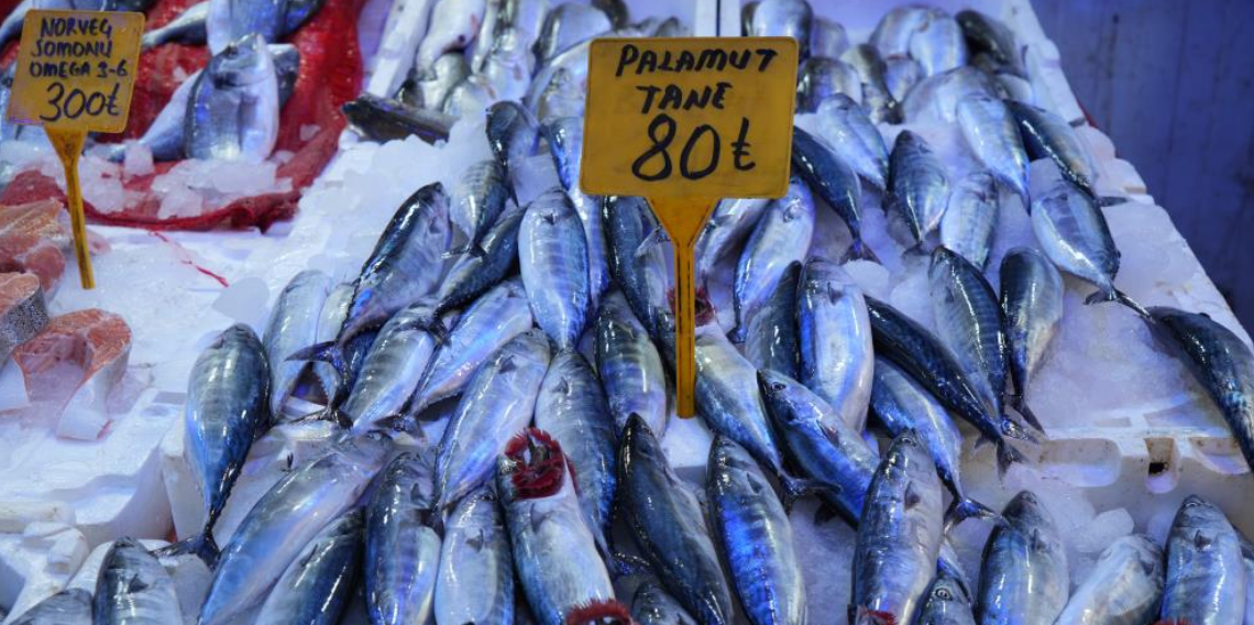 Yıllardır böylesi görülmedi: Karadeniz'den palamut fışkırıyor