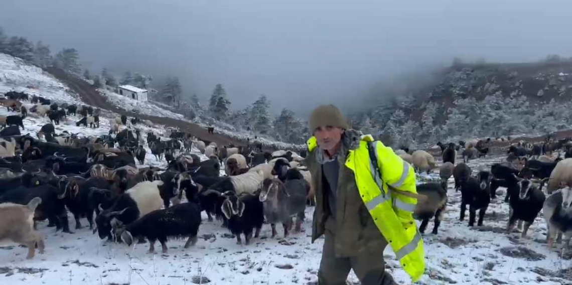 Giresun yaylalarında kar erken göçe neden oldu 