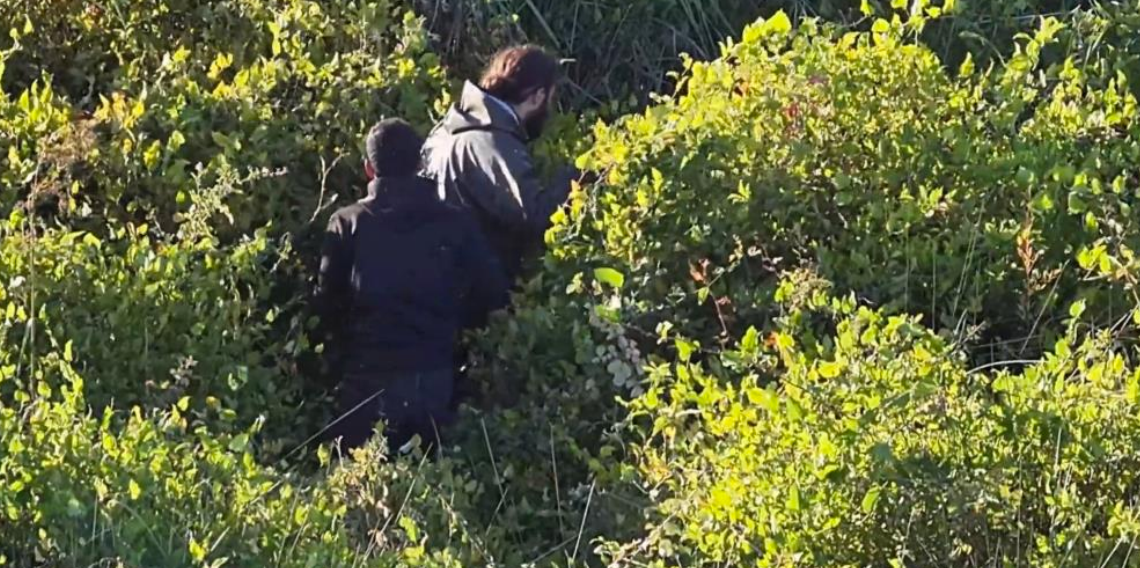 Gökdoğan avcıları suçüstü yakalandı: Toplam 1 milyon 566 bin TL ceza uygulandı