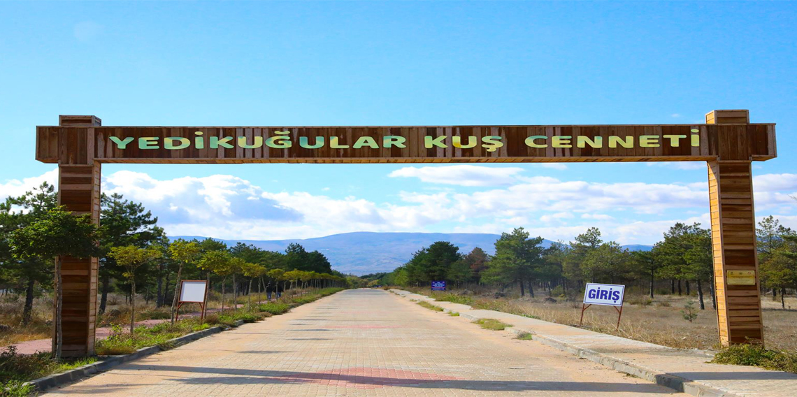 Yedi Kuğular Kuş Cennetinde Yapılacak Aktiviteler