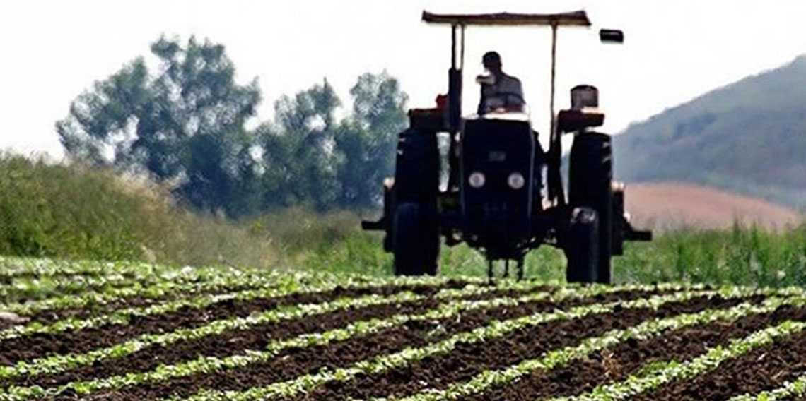 Çiftçilere yaklaşık 2,8 milyar lira destek ödemesi yarın yapılacak