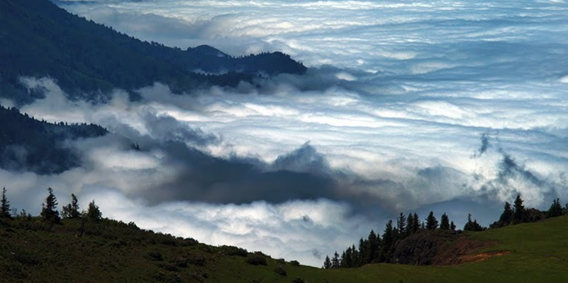 Rize'nin parlayan yıldızı Handüzü Yaylası'nda ince elenip sık dokunuyor