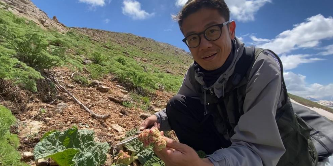 Japonya'dan Yüksekova'ya uzanan doğa yolculuğu