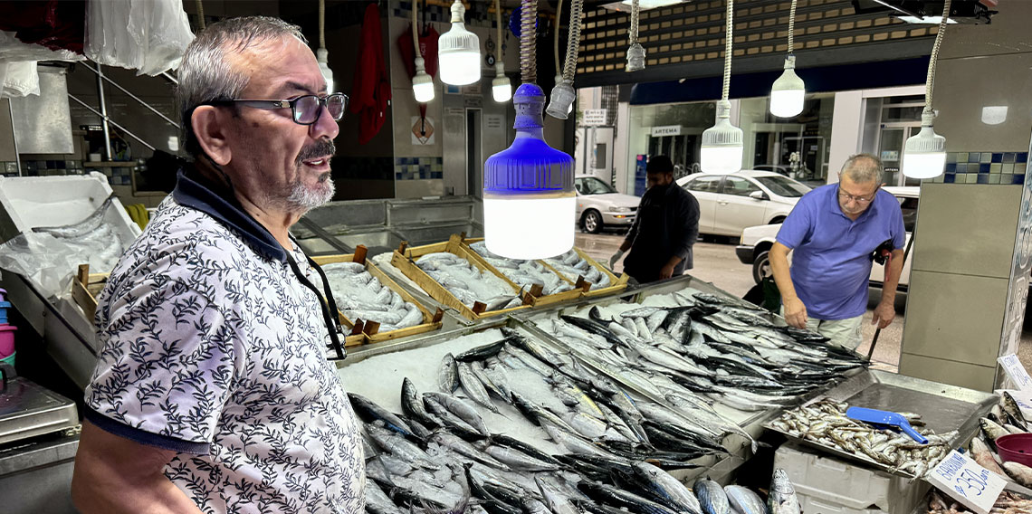 Balık tezgahlarında palamut, hamsi bolluğu yaşanıyor