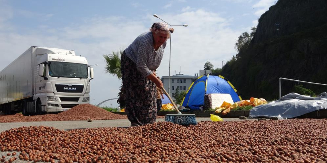 Fındık hem randıman hem de rekolte olarak üreticiyi yanılttı