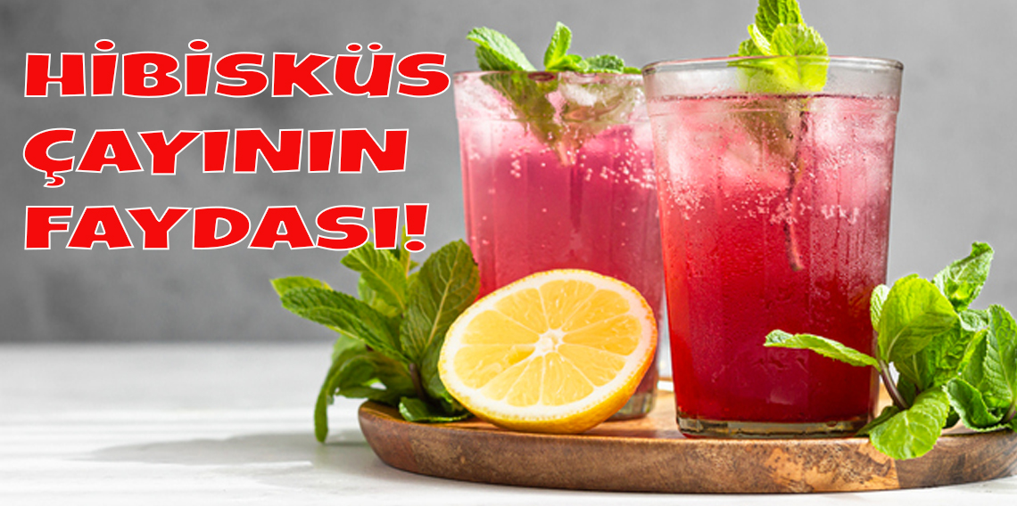 Kışın vazgeçilmezi hibisküs 