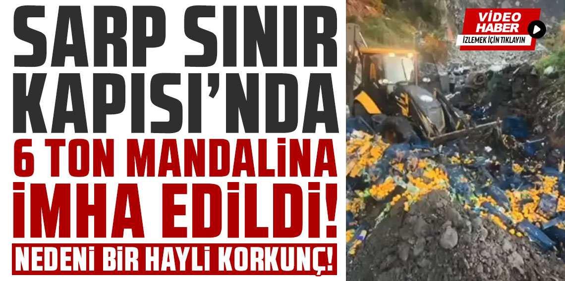 Sınır kapısında zirai ilaç kalıntısı bulunan 6 ton mandalina imha edildi