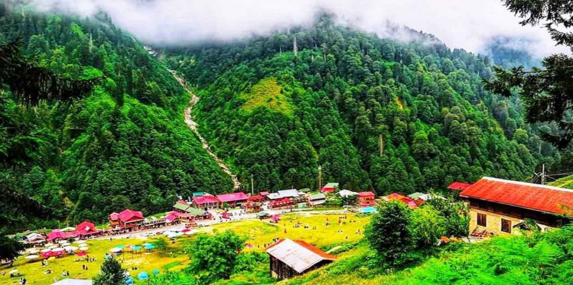 Rize nerededir ?