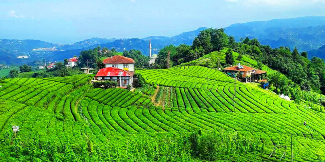 Rize'de görülmesi gereken yerler 