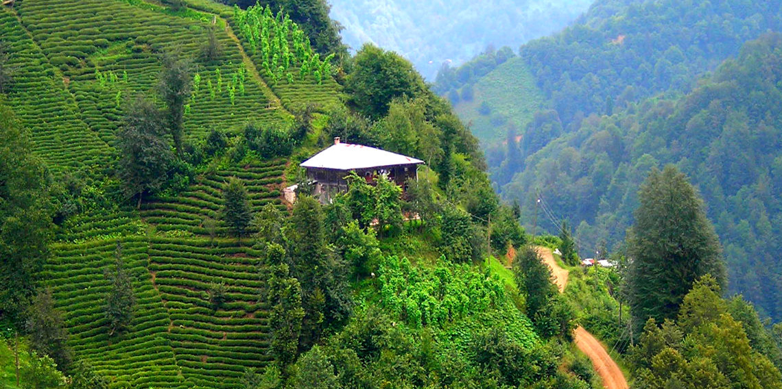 Rize'nin Yaylaları, gölleri ve dereli