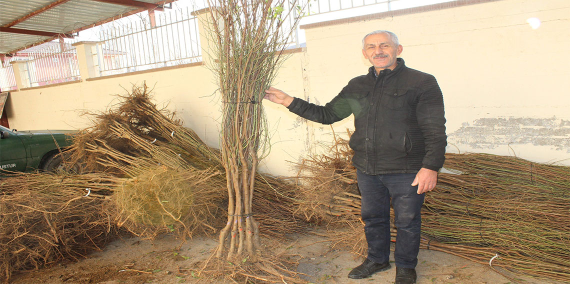  Bin badem fidanı dağıtıldı