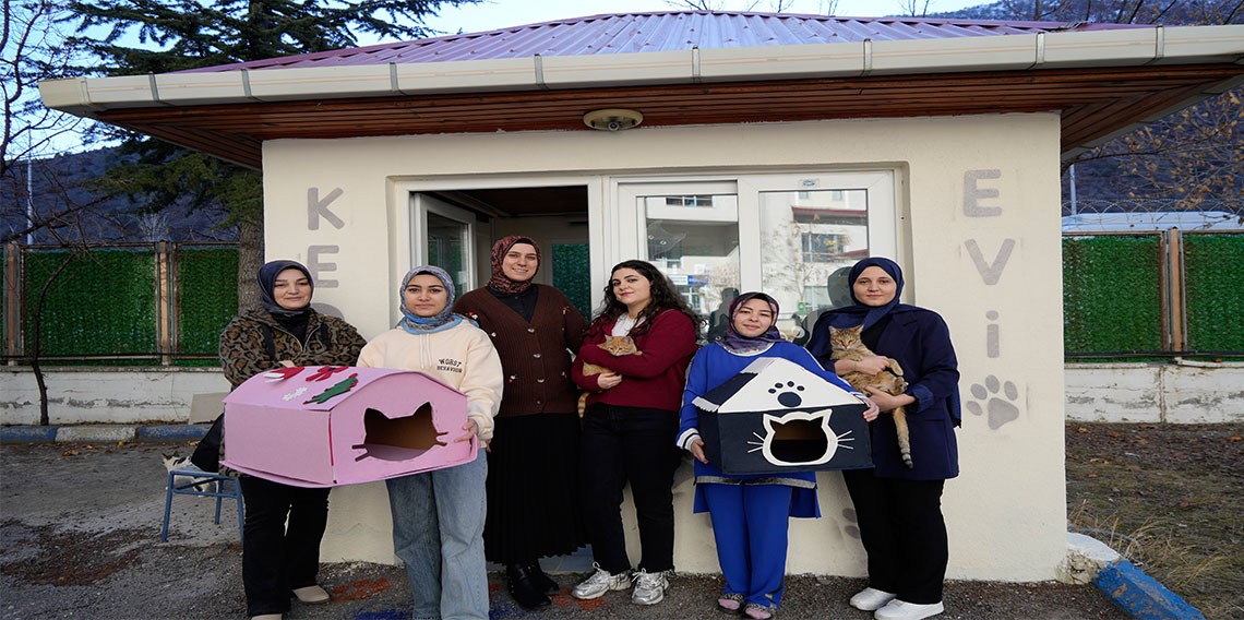 Gümüşhane'de öğrenci yurdunun güvenlik kulübesi kedilere yurt oldu