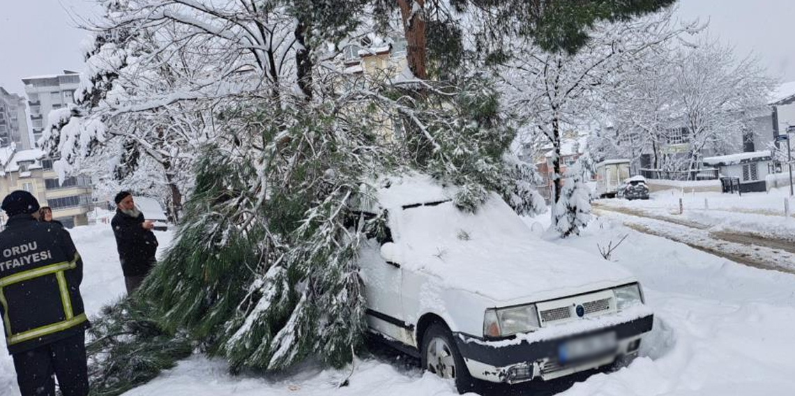 Ordu'da kar yağışı nedeniyle 2 noktada ağaç yıkıldı