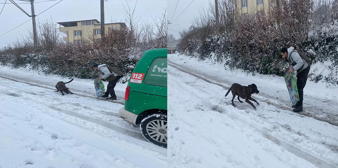 HAYDİ ekibinden sokak hayvanlarına mama desteği