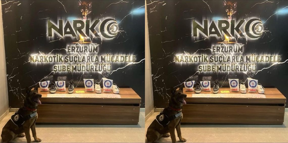 Narkotik Köpekleri Su ve Magnum yine affetmedi