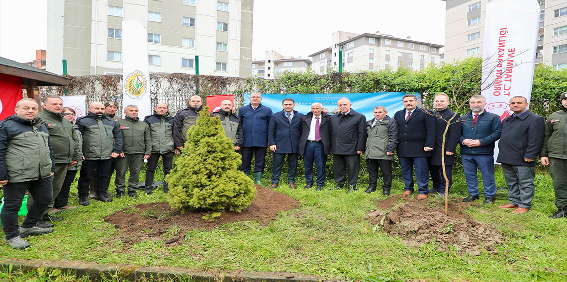 Ordu’da fidanlar toprakla buluşturuldu