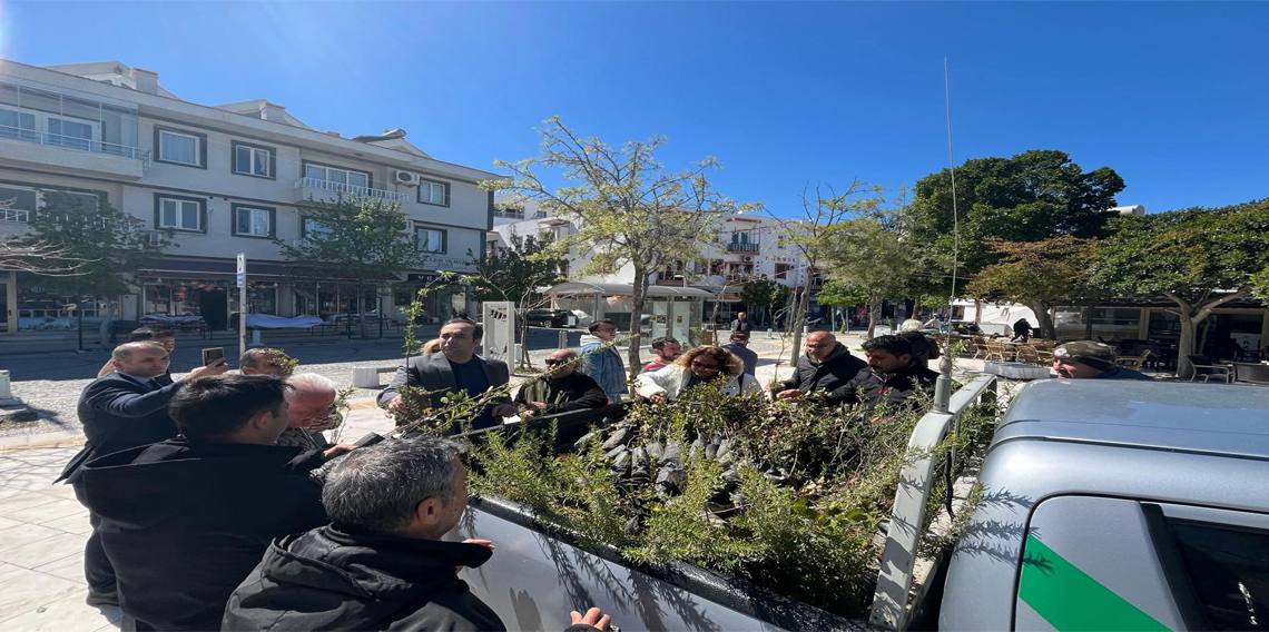  Datça’da bin adet fidan dağıtıldı