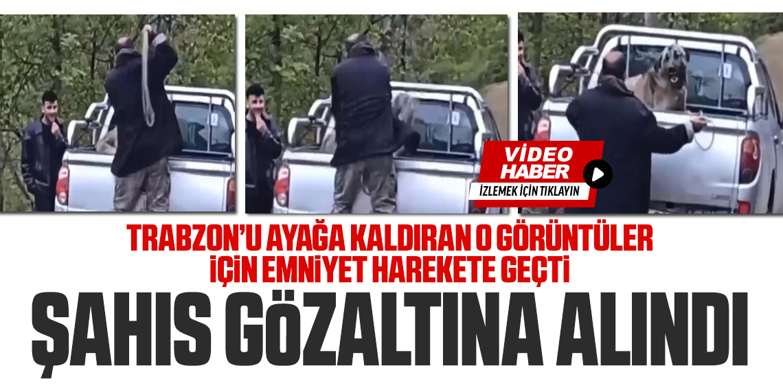 Köpeğe halatla şiddet uygulayan şahıs gözaltına alındı
