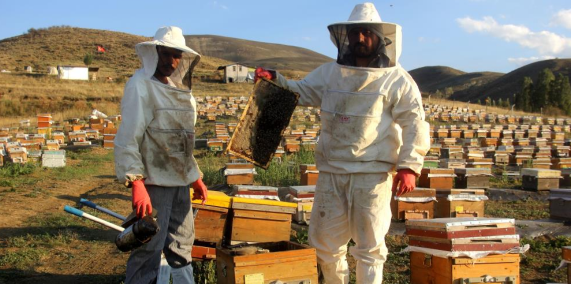 Bayburt’ta bal hasadı başladı: Arıcıların “tatlı” mesaisi