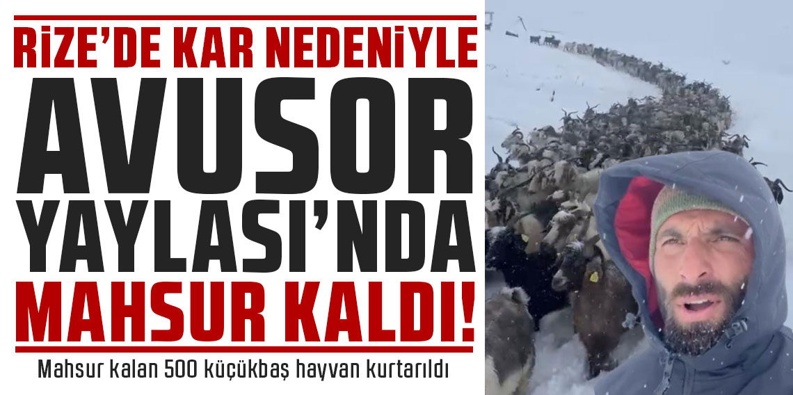 Rize'de kar nedeniyle Avusor Yaylası'nda mahsur kalan 500 küçükbaş hayvan kurtarıldı